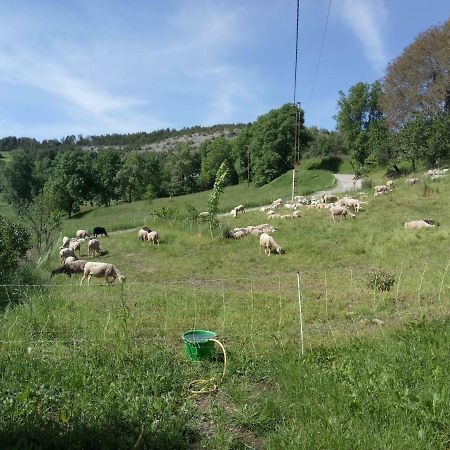Apartament Les Logis De Lucie Selonnet Zewnętrze zdjęcie